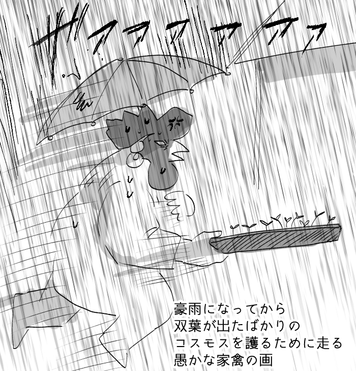 #ナイス日誌
天気予報を見ろ 