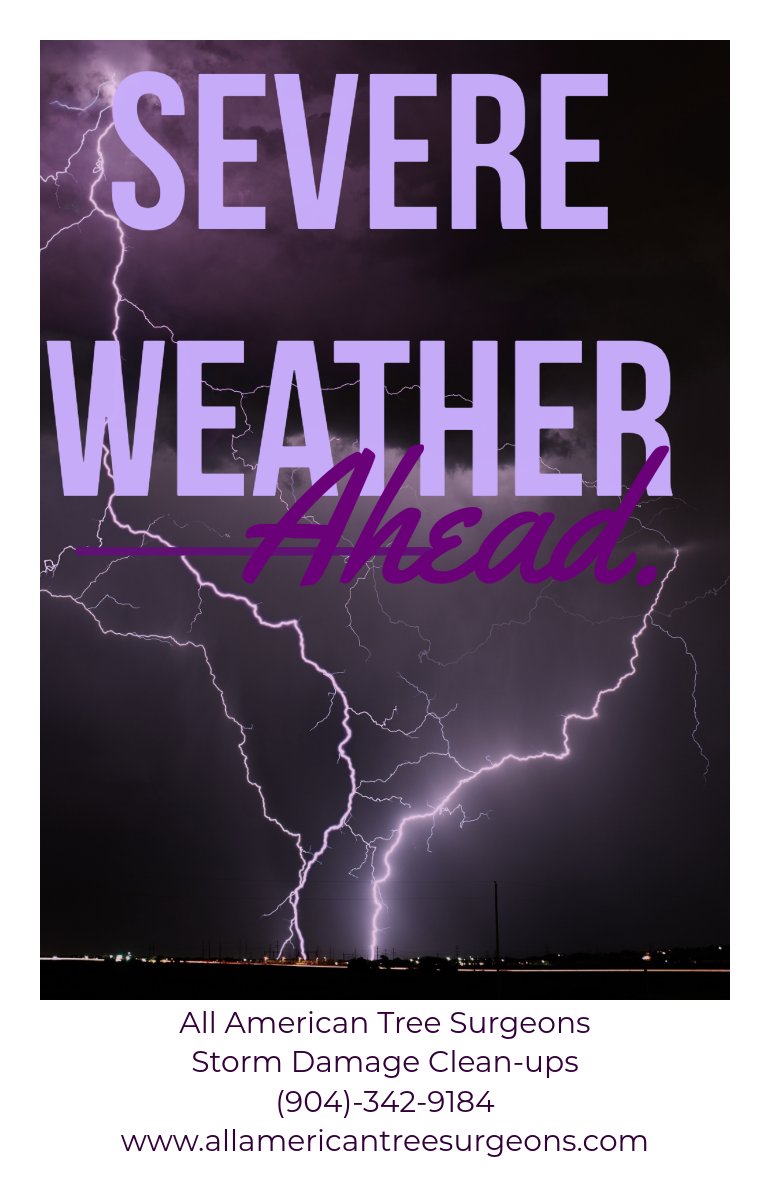 TreeShane's tweet image. Storm Damage Clean-up:
To schedule your services, please contact us at
(904)-342-9184 
Visit our website at allamericantreesurgeons.com
----
Our comprehensive services encompass storm cleanup, uprooting, tree removal, trimming, removal, debris hauling, and land clearing.