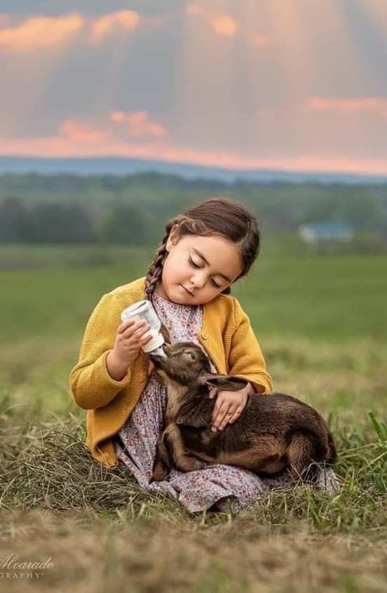 Rotası merhamet 
Olmayan kalbin 
Limanı selamet olur mu 💜🌟🌺