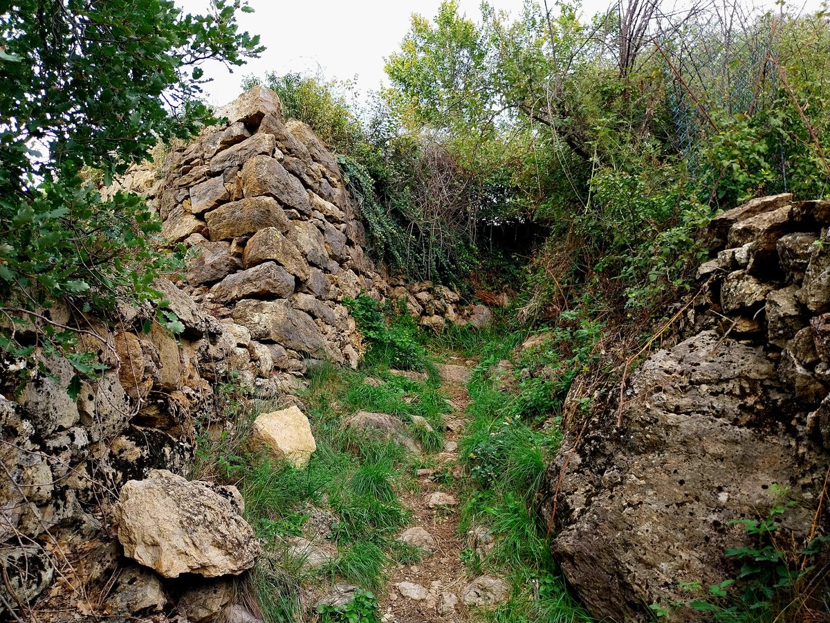 Modernament, s'han afegit noves funcions als camins tradicionals, d'interès social i econòmic (en àmbits com ara el lleure, la salut, la protecció civil, el turisme, l'esport, fins i tot la mobilitat interurbana no motoritzada)