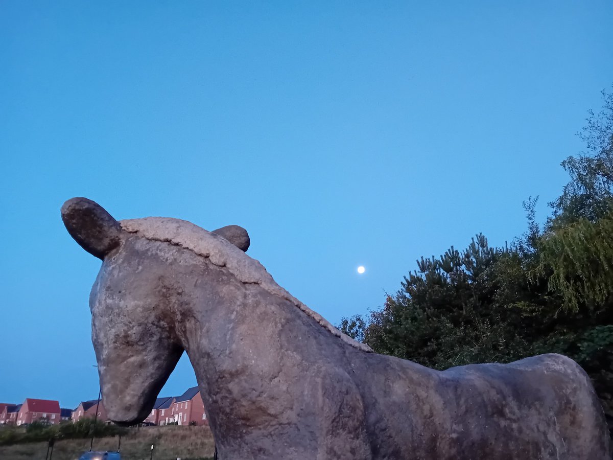 Pony by moonlight 🌙