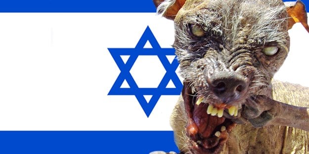 <a href="/MeirMasri/">Meir Masri | מאיר מסרי</a> Hey Trump <a href="/realDonaldTrump/">Donald J. Trump</a>, put a leash on this mad dog ❗