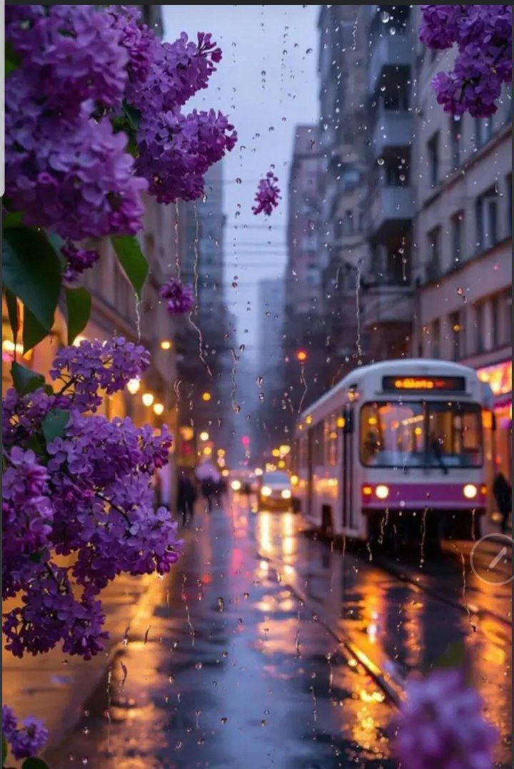 خدعتنا الدهشة الأولى، ،
 نحنُ ضحايا المنتصف  💟