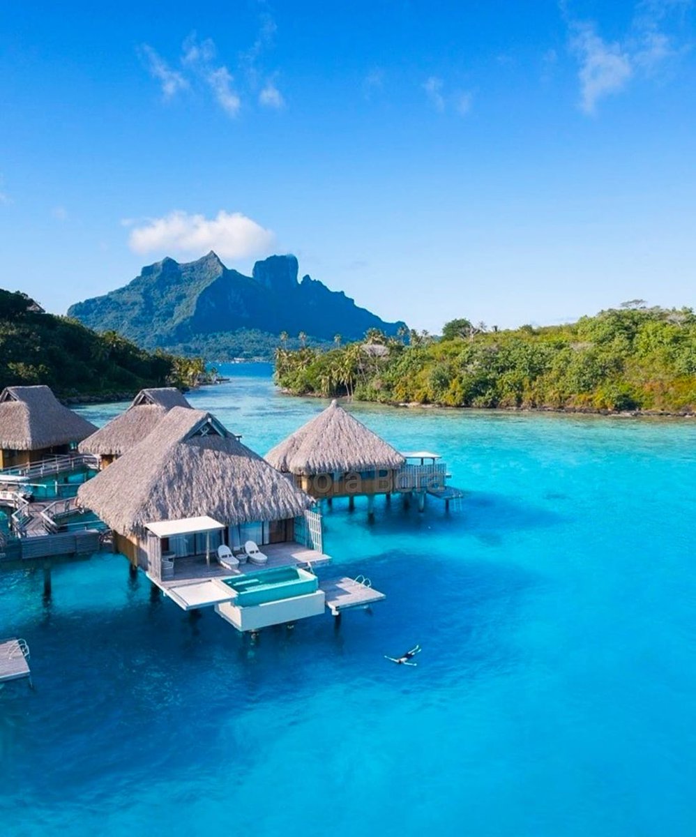 jones_ruby9888's tweet image. Bora Bora vibes!
