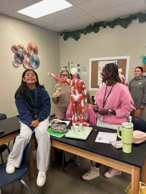 Students in Coach Teresa Thompson’s anatomy class are diving deep into the human body—literally! Using detailed muscle man models, they are working hands-on to label body cavities, apply directional terminology, and master regional body terms.