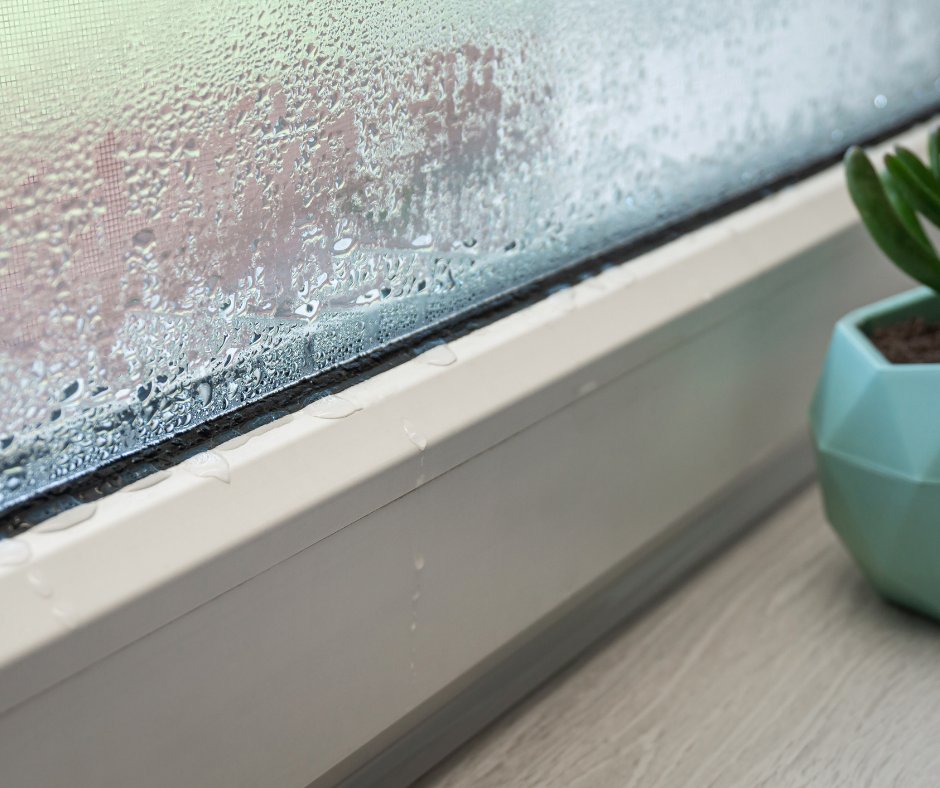 ✨ Thursday Tip: As nights get cooler, condensation can build up on windows.

Keep an eye out for fog or moisture between glass panes—it’s often a sign the seal is failing. Replacing now saves on heating costs later. ❄️➡️💰

Call us today for a free estimate (913) 565-7200