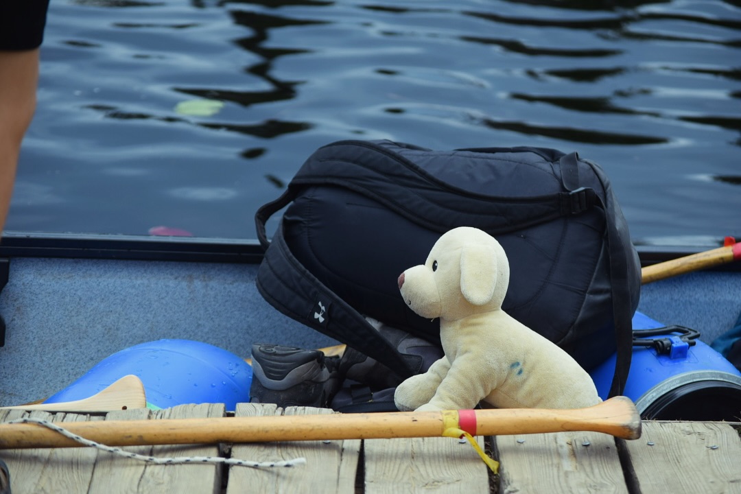 scoutscanada's tweet image. Back to Scouting! 🎒🌲

The 2025–2026 year is here, full of new adventures, friendships, and memories waiting to be made.

📧 Questions? Contact help.centre@scouts.ca

#ScoutsCanada #BackToScouting #DitchTheScreens #DiscoverAdventure