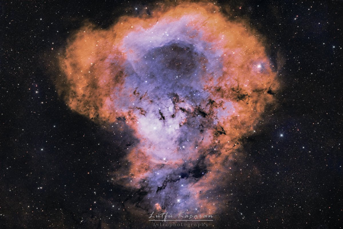 Genç yıldız oluşum kompleksini görüyoruz. Bilimsel adı NGC-7822 dir.
Başka adları da var tabi ki, Mesela Oyuncak Ayı, Kurukafa, Kozmik Soru İşareti,
3000 ışık yılı uzaktadır. kompleksin en genç kısımları sadece birkaç milyon yaşındadır, yıldız standartlarına göre çok genç sayılır