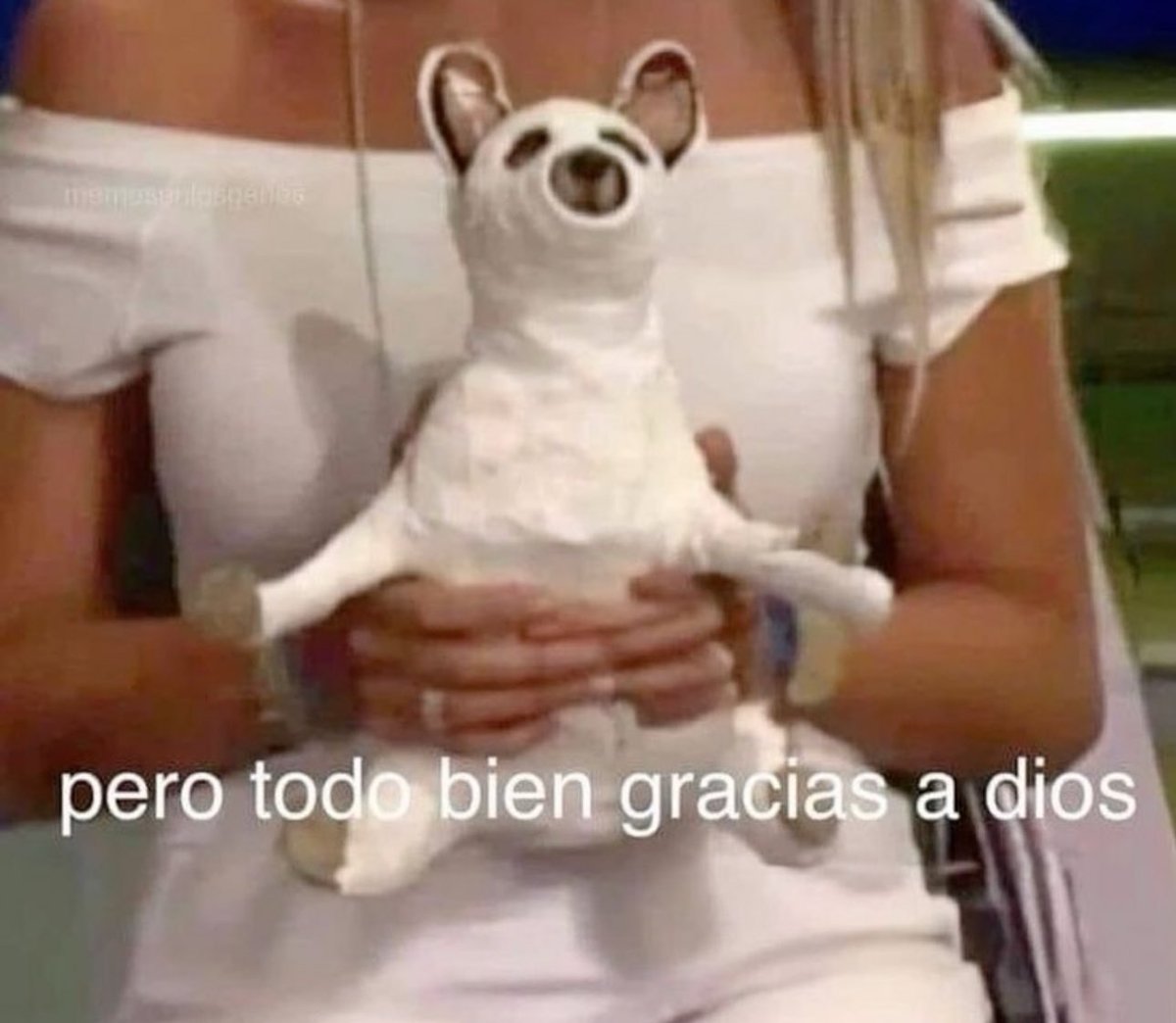 piña sin pizza (@skereunpesado) on Twitter photo 