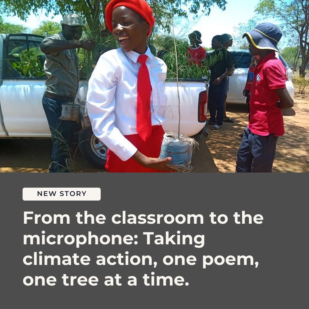 TeachForAll's tweet image. Education can be a force for climate action 💪

Learn how a @teach4zim fellow &amp;amp; her students are turning lessons into tree planting, radio shows, and community change 🌍

🔗teachforall.org/blog/classroom…