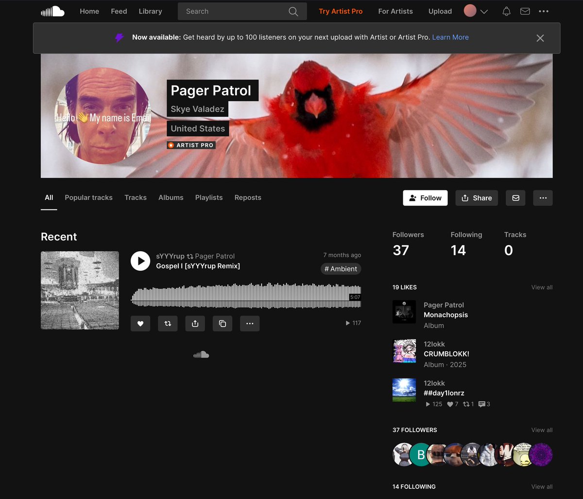 It’s real and further searches for the account “god’s finest scalpel” show other accounts. It also pays for premium on SoundCloud. 

The Charlie Kirk song was real but was deleted. However there are more threats, references to self harm, darker commentary…the kinds of titles you