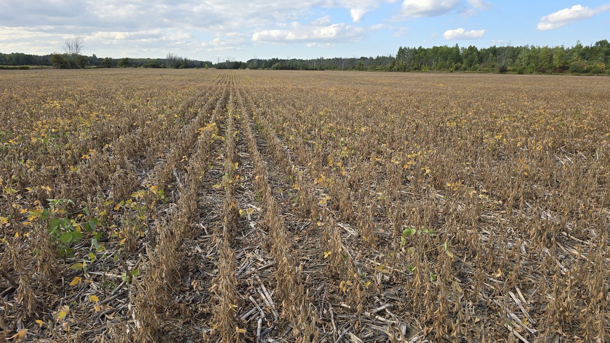 Warren Schneckenburger 🇨🇦 tweet media