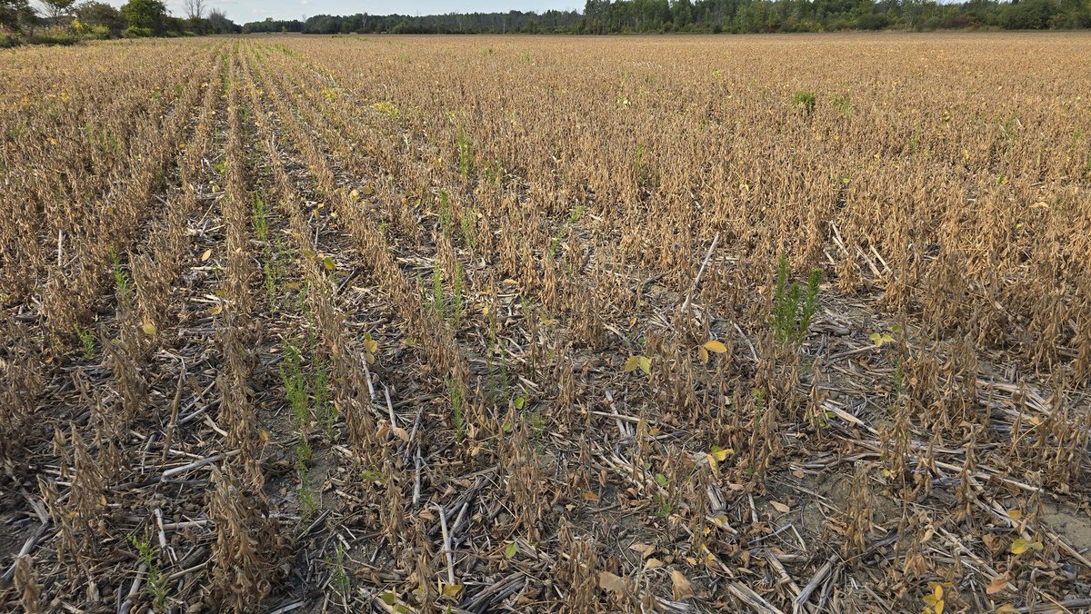 Warren Schneckenburger 🇨🇦 tweet media