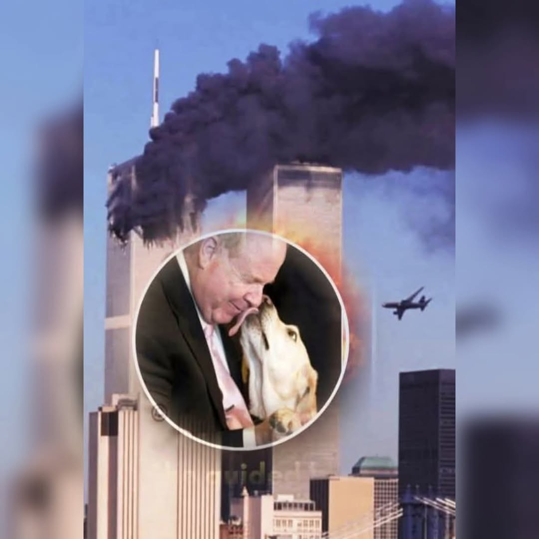 Le matin du 11 septembre 2001, Michael Hingson se trouvait au 78e étage de la Tour Nord du World Trade Center.

Aveugle de naissance, il ne voyait ni les flammes ni les débris s’abattre, mais il percevait chaque vibration de l’immeuble et le tumulte qui envahissait les étages.

À