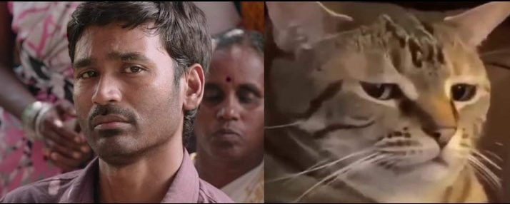 Zuryaaa. tweet media