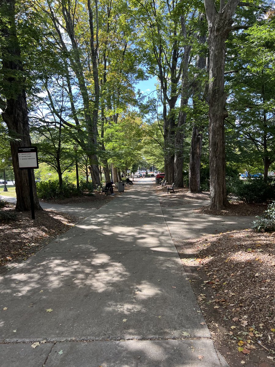 Mike Santella tweet media