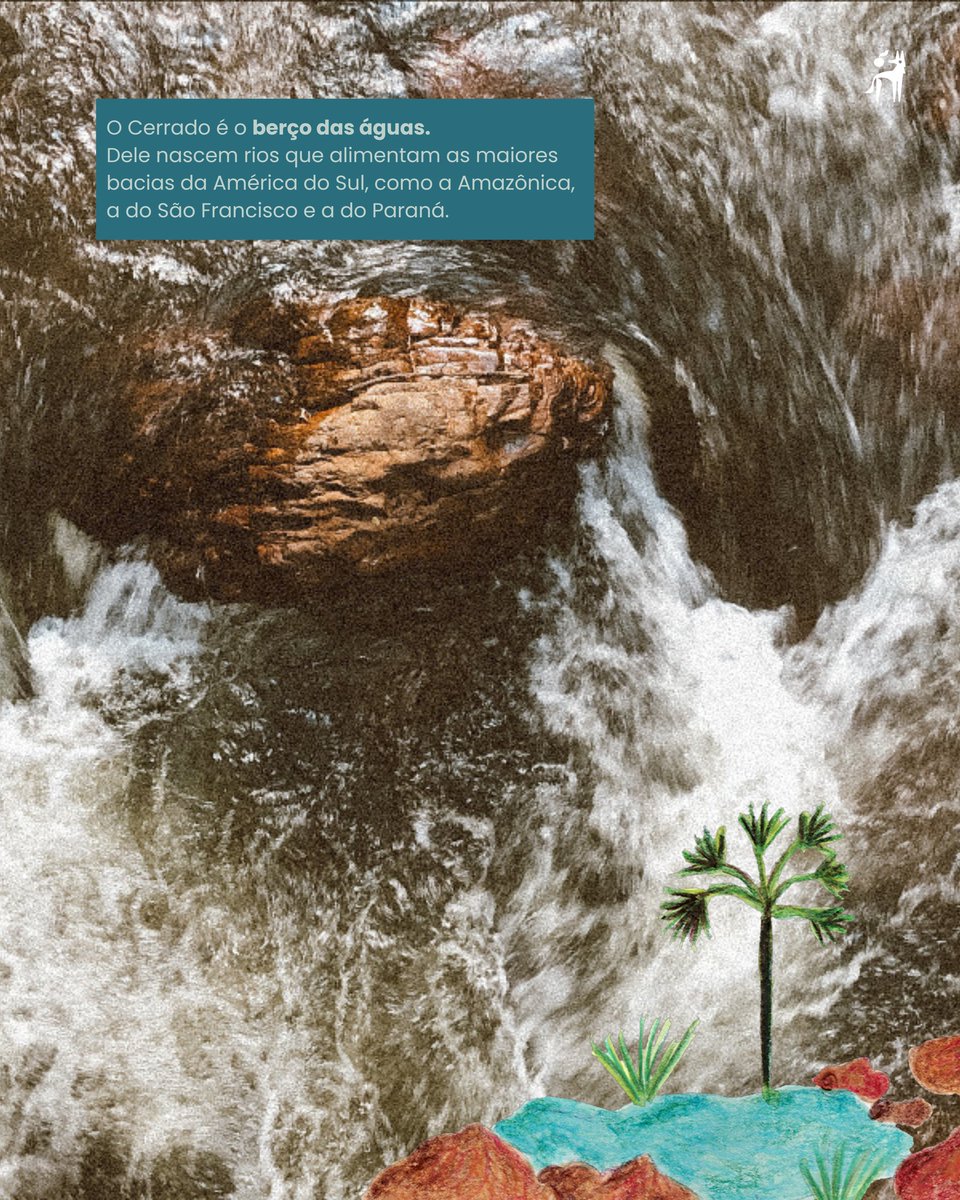 A vida no Cerrado - AVINC tweet media