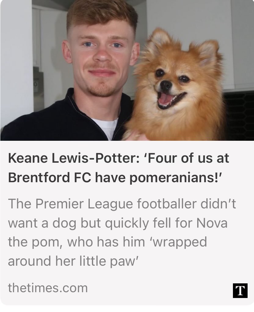 Beesotted Brentford tweet media
