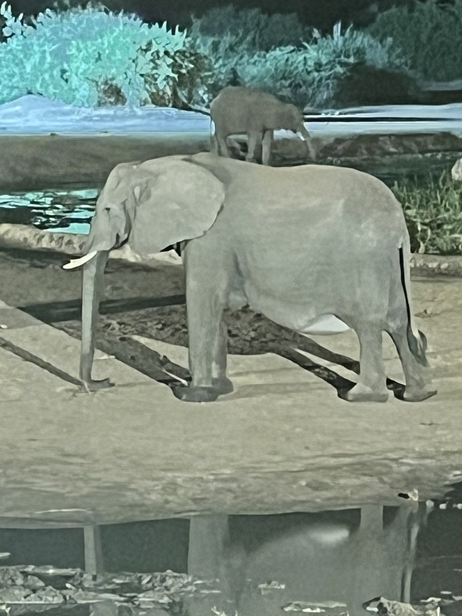 Sarah Spain tweet media