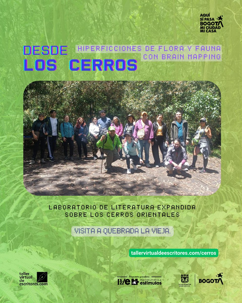 taller_virtual's tweet photo. Nos complace compartir los avances del laboratorio "Desde los cerros: hiperficciones de flora y fauna con brain mapping". Estamos muy cerca de la muestra de resultados, pronto compartiremos la invitación. https://t.co/mwnxpPOcEq