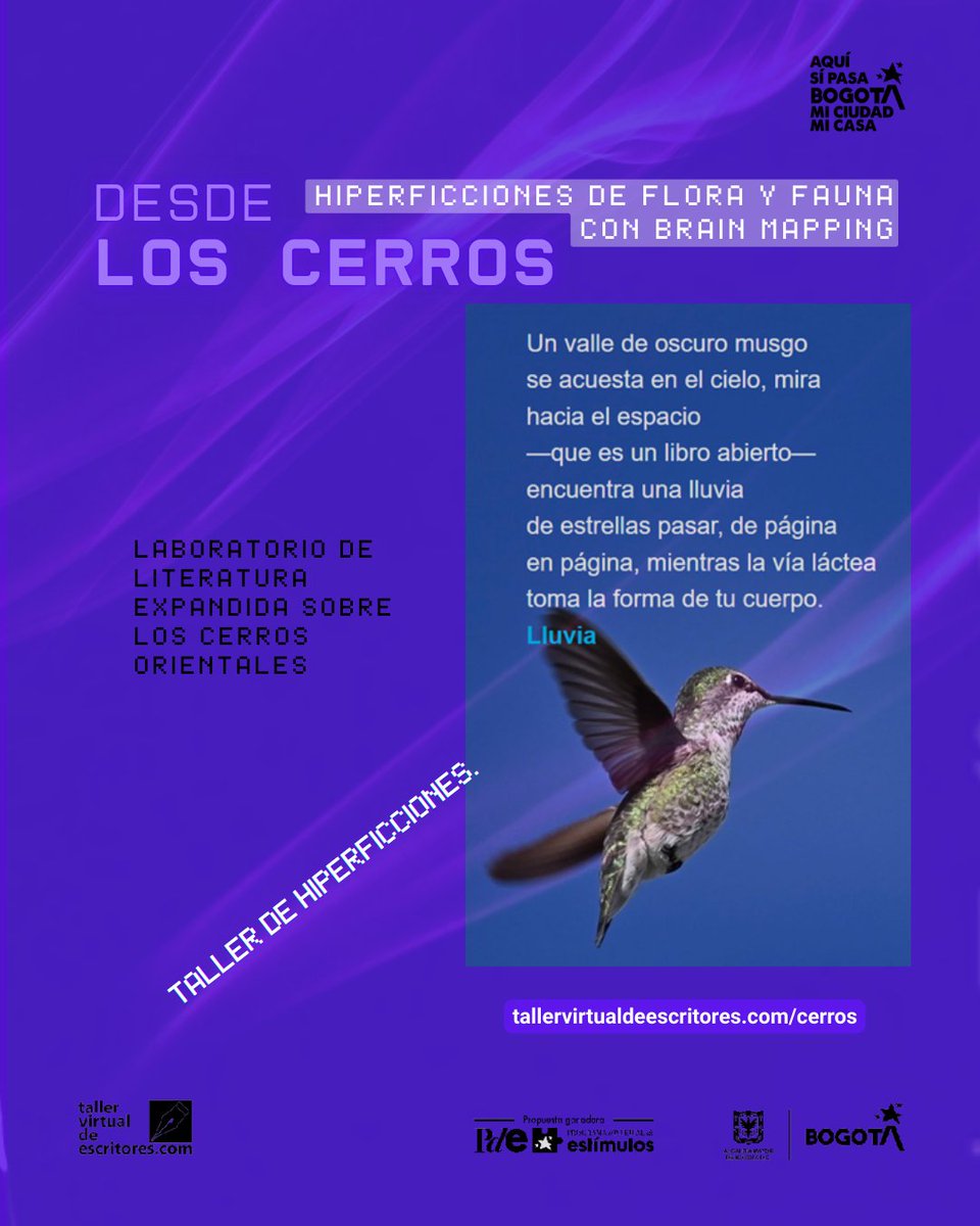 taller_virtual's tweet photo. Nos complace compartir los avances del laboratorio "Desde los cerros: hiperficciones de flora y fauna con brain mapping". Estamos muy cerca de la muestra de resultados, pronto compartiremos la invitación. https://t.co/mwnxpPOcEq
