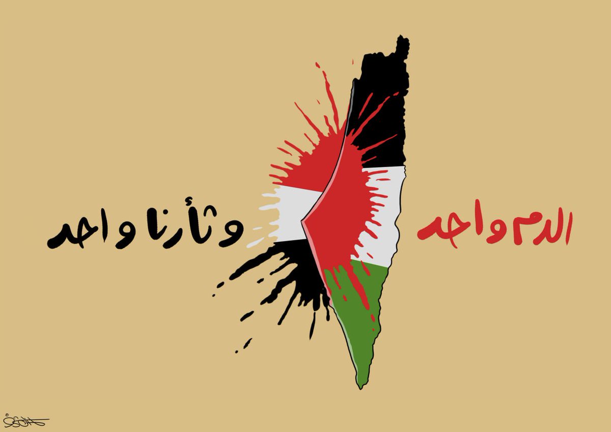 محمد مجاهد #اليمن tweet media