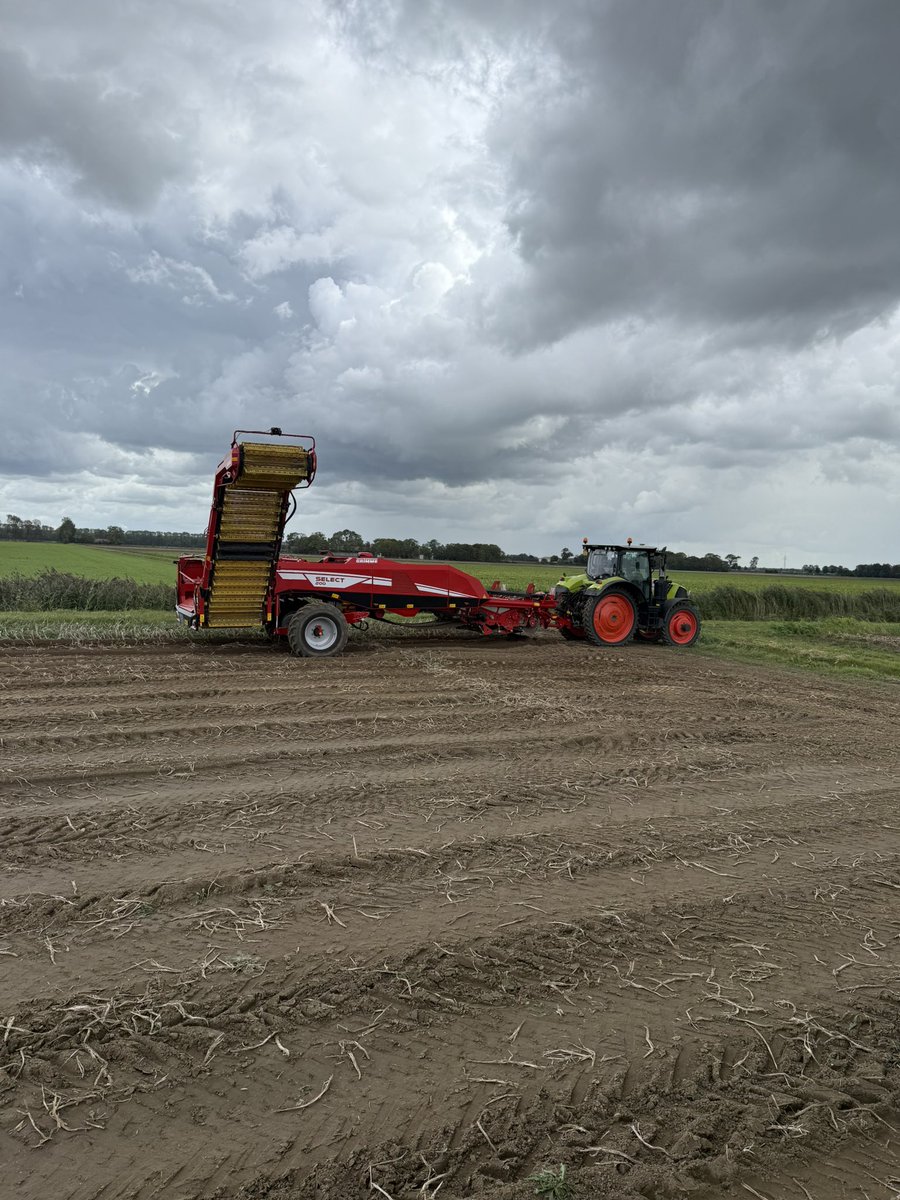 Vandaag de pootaardappelen eruit gerooid. Over paar weken van start in de friet aardappelen. 

#oogst2025 #claas #grimme