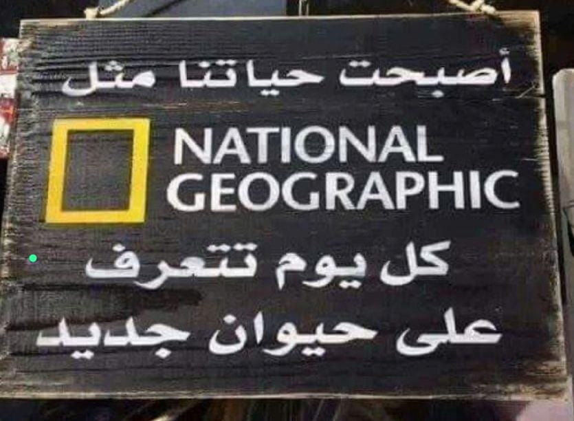 𝑫𝒆𝒄𝒂𝒏𝒐🇸🇦 (@decano_8) on Twitter photo 