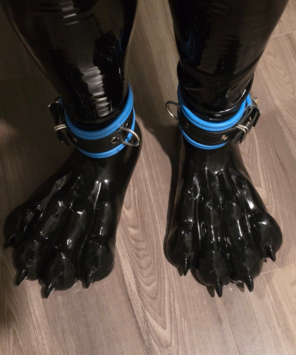 fizzy husky tweet media