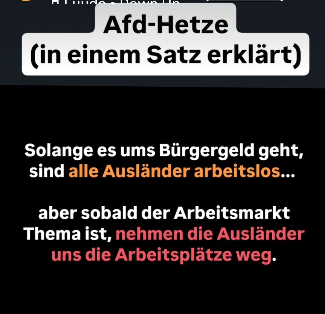 afd- Hetze