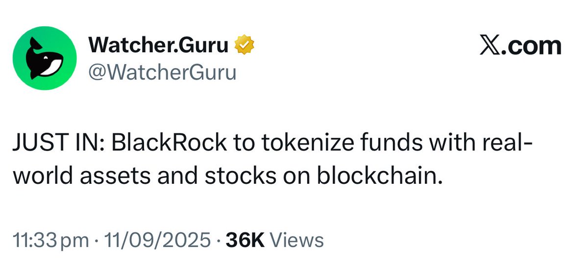 Abdul Rafay Gadit tweet media