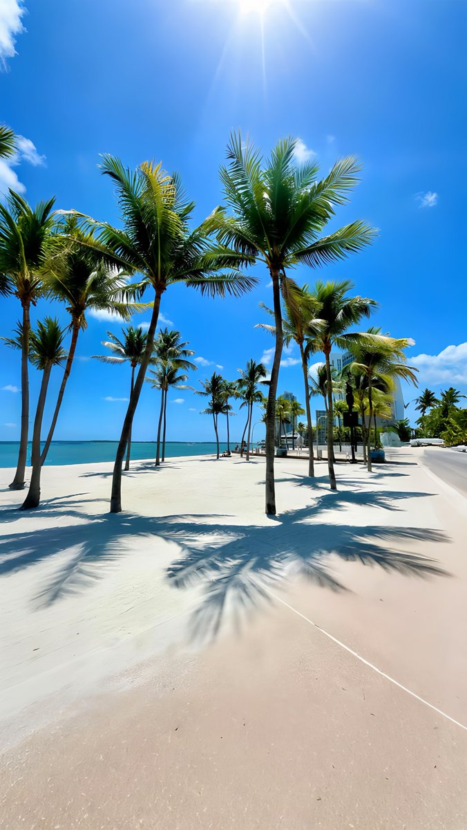 byejapp's tweet image. 📍Miami: A city perfect for relaxing and daydreaming.