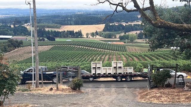 Harvest + Wine Club + Reviews (oh my!) - mailchi.mp/cf5fb06d446a/s…