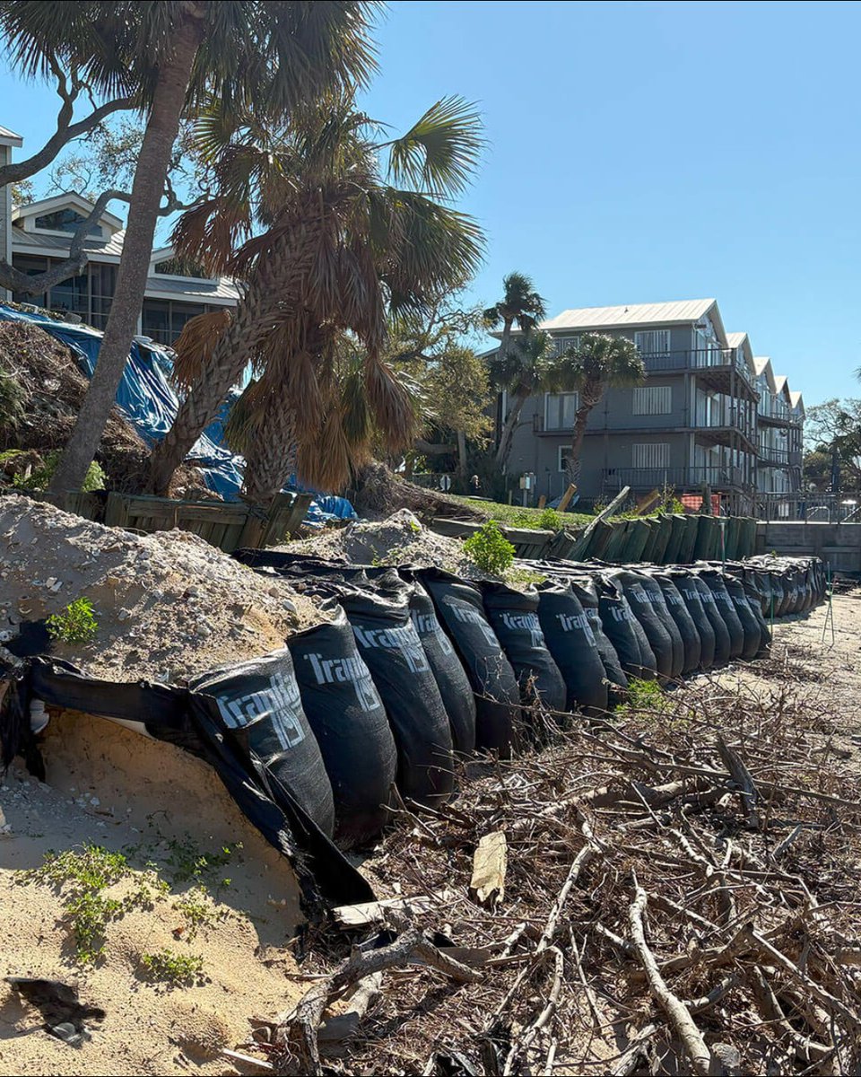 UF ESSIE tweet media