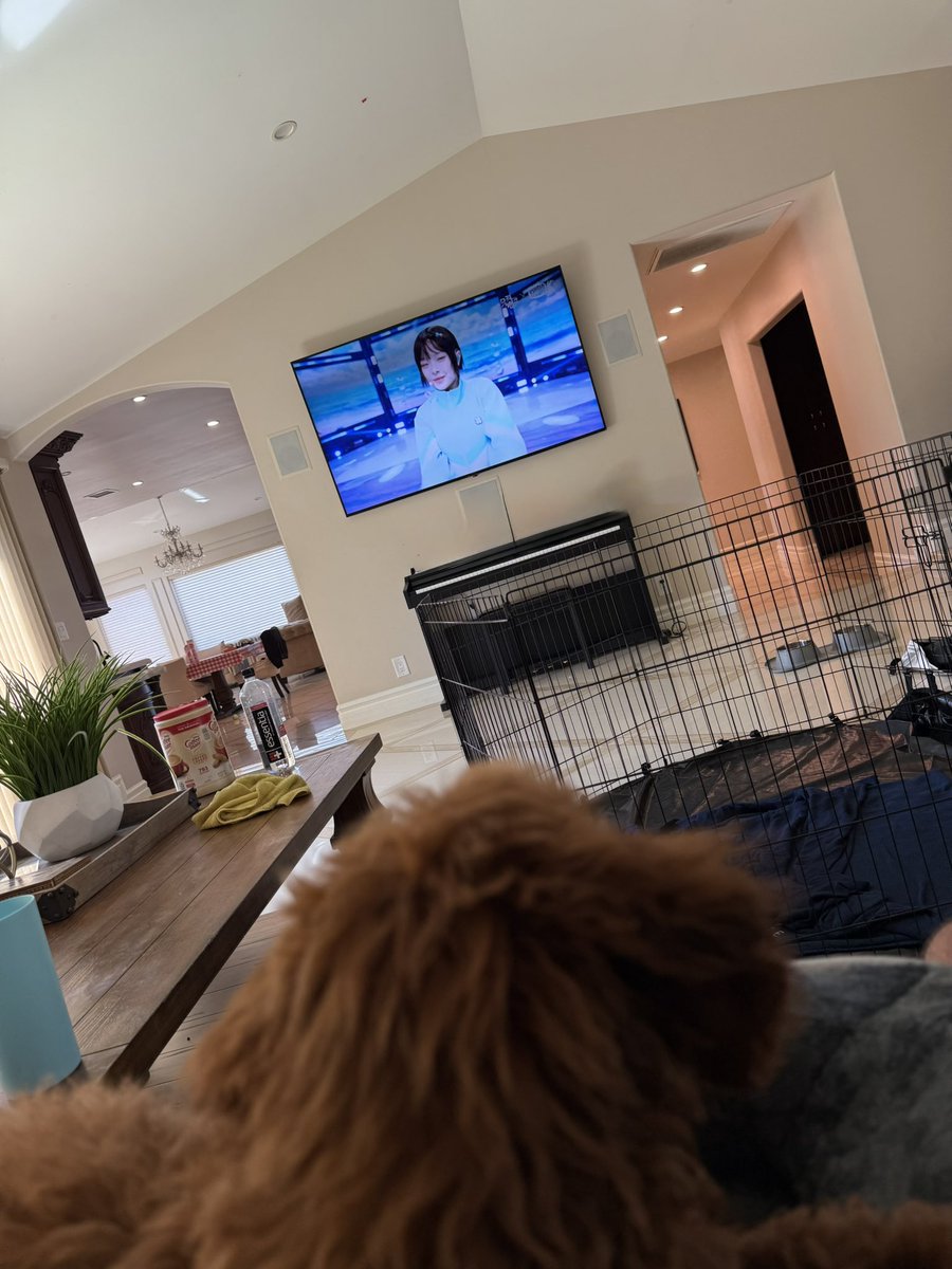 ahyyRL's tweet photo. making sure new puppy is a Hanni stan https://t.co/LdZpdw7IsX