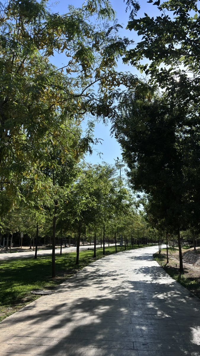 mervecaglli's tweet photo. 🍃 https://t.co/u7r6qIVk55