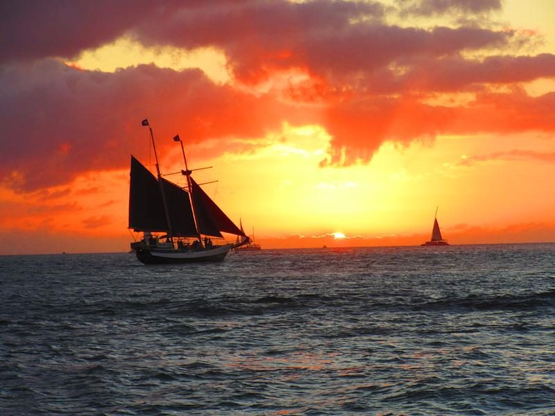 I’m a finalist in Key West Collection by Riley’s Story Contest. Help me rally votes: flip.to/r/cimr8