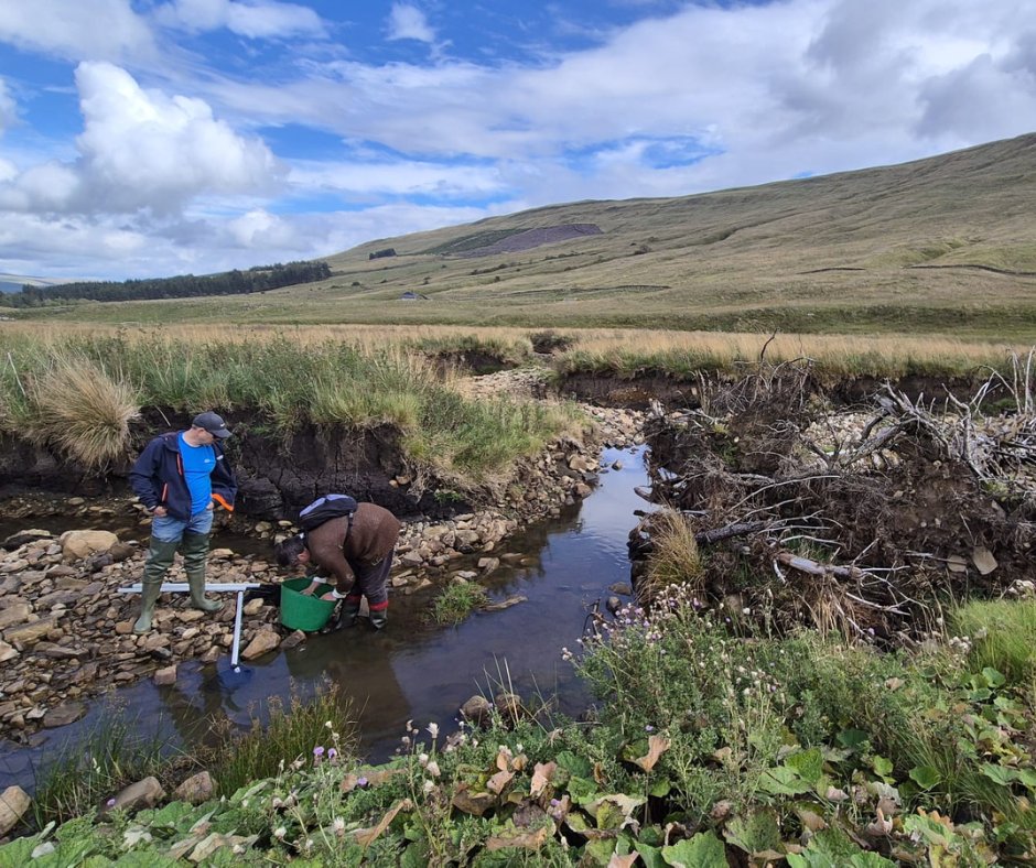 The Wild Trout Trust tweet media