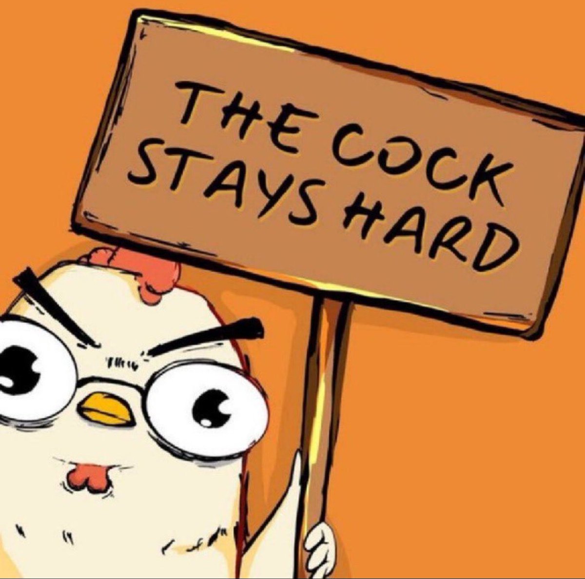 Gray Little Foot tweet media