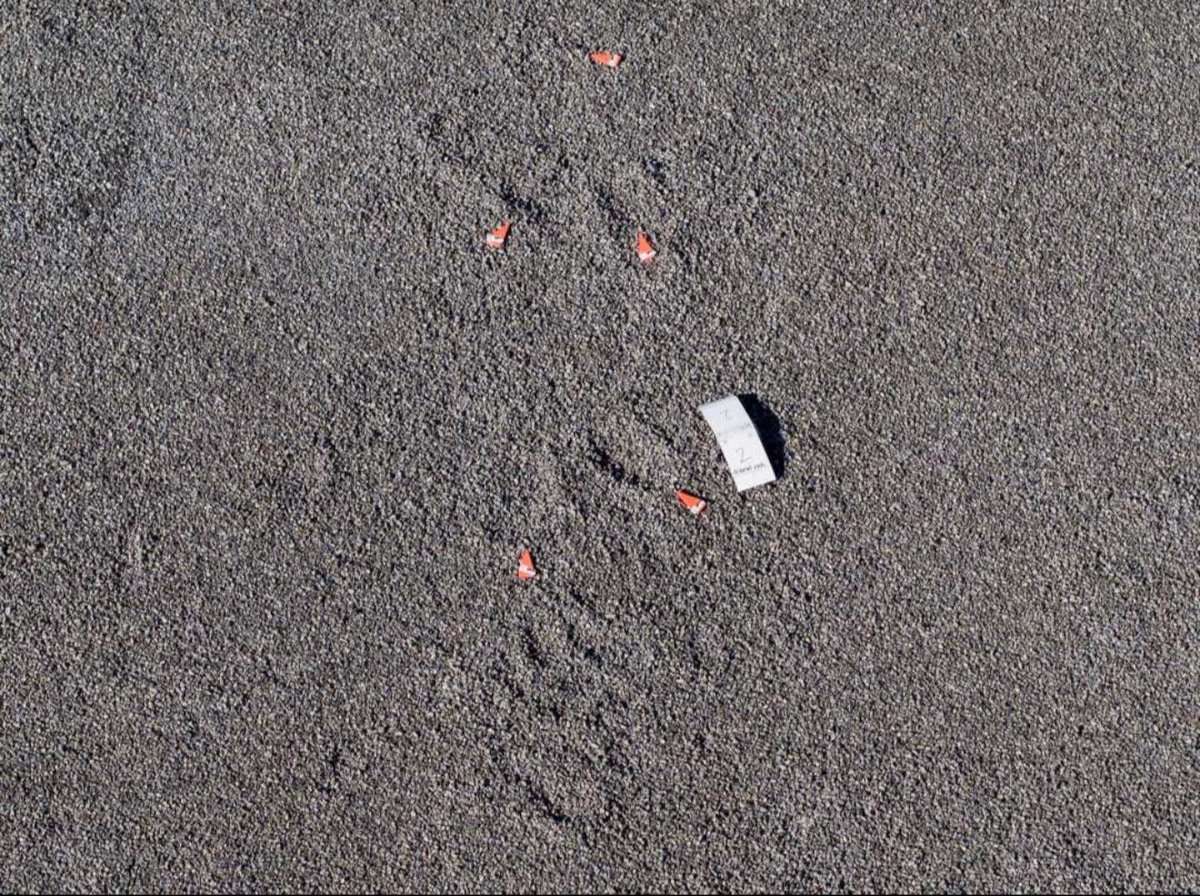 I’m not trying to be cold by pointing this out, I’m just trying to stop a bunch of clout chasing douchebags from spreading their stupid fucking conspiracy theories. 

There is no fucking chance this was a professional shooter, period, end of fucking discussion. 

A pro wouldn’t