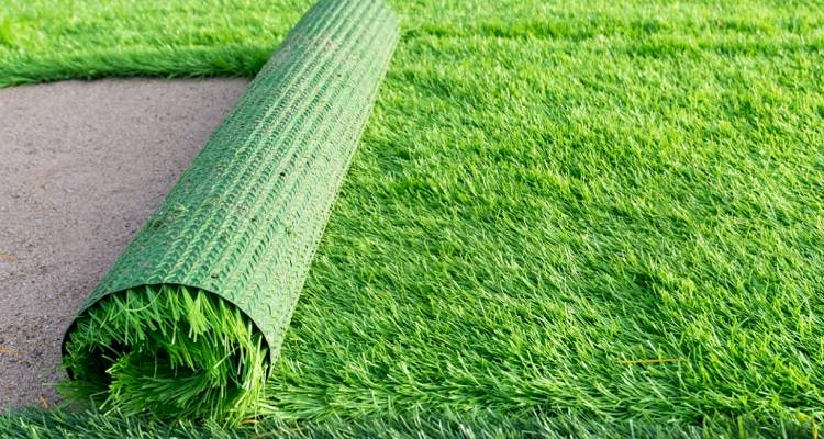 Binance_intern's tweet photo. touch grass… but make it portable. https://t.co/hX03qLXN3M
