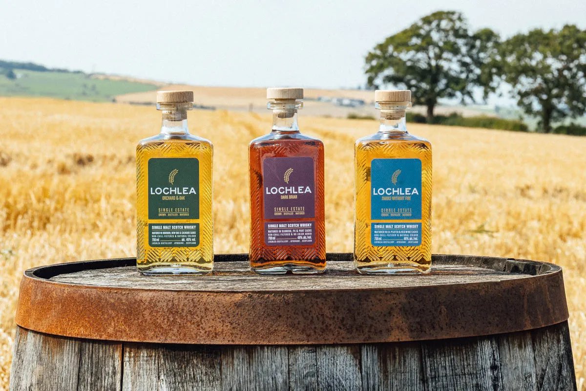 New Post | we sample and review the three new whiskies - Orchard &amp; Oak, Dark Briar and Smoke Without Fire - that are joining Our Barley in the <a href="/LochleaWhisky/">Lochlea Distillery</a> core range. Read our thoughts and tasting notes >> whiskyforeveryone.com/review-lochlea…
