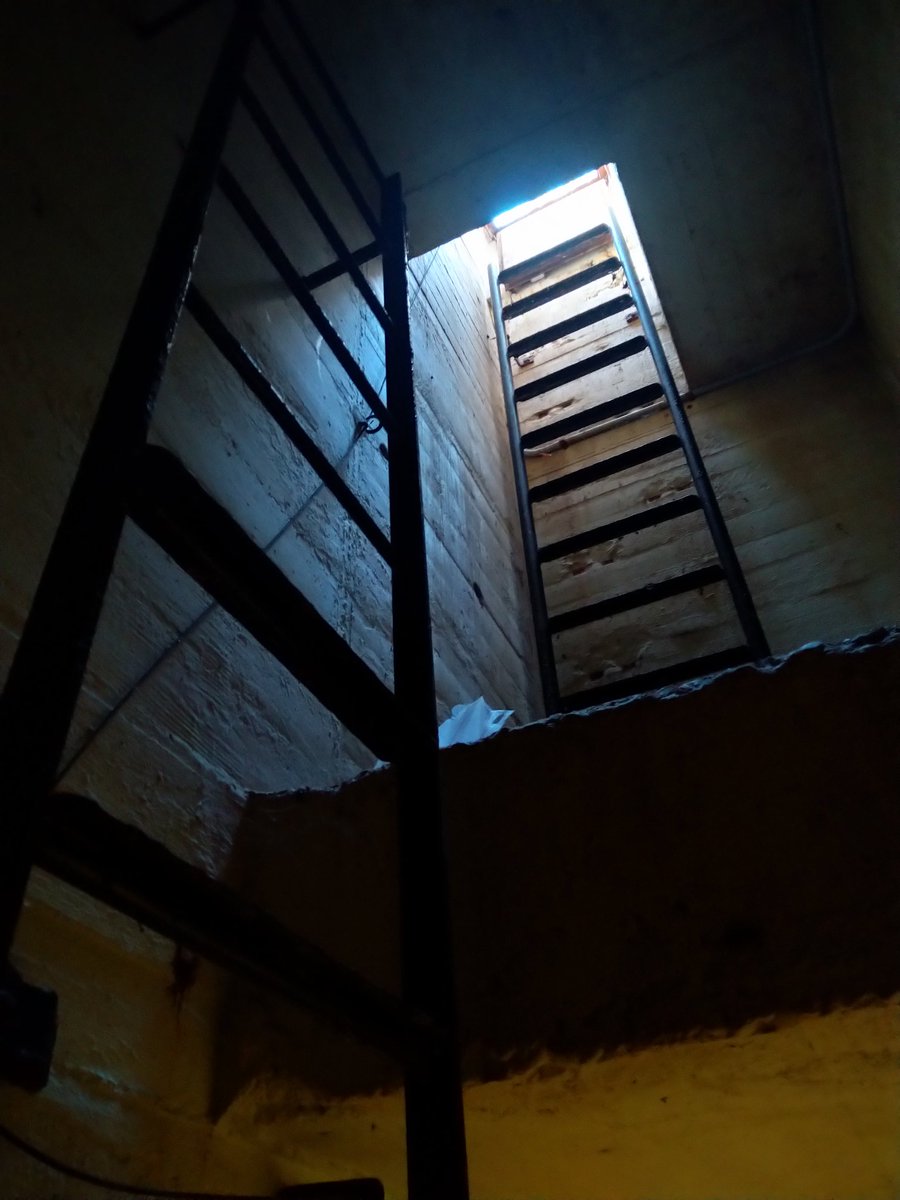 Bunkerratte tweet media