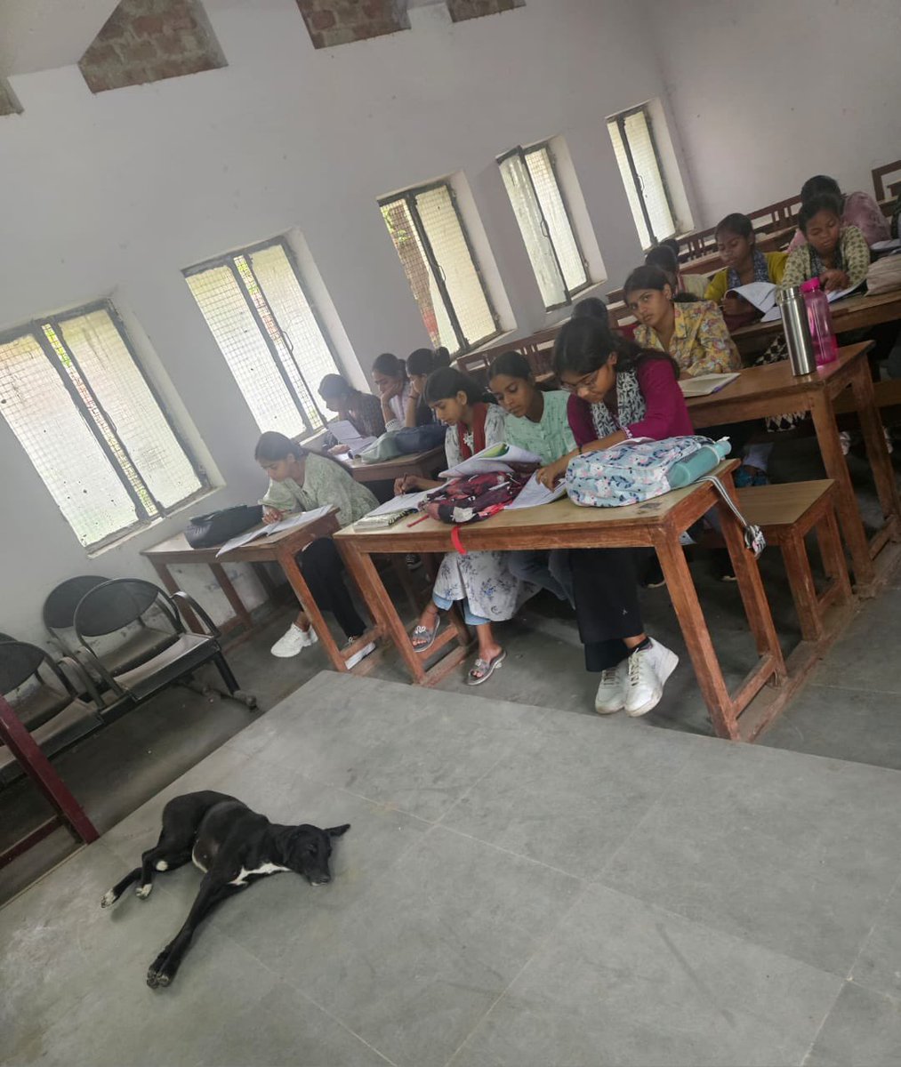 Neel0zango's tweet image. @narendramodi @PMOIndia see how these pure souls r sleeping without harming anyone @gupta_rekha ap b dekhlo andhe mt bano @VijayGoelBJP apke to kya kehene 💩..jese khud kroge waisa wo b react krenge,pyar se rhoge wo b pyar hi dikhaenge..and see students kitne aram se baithe hai.