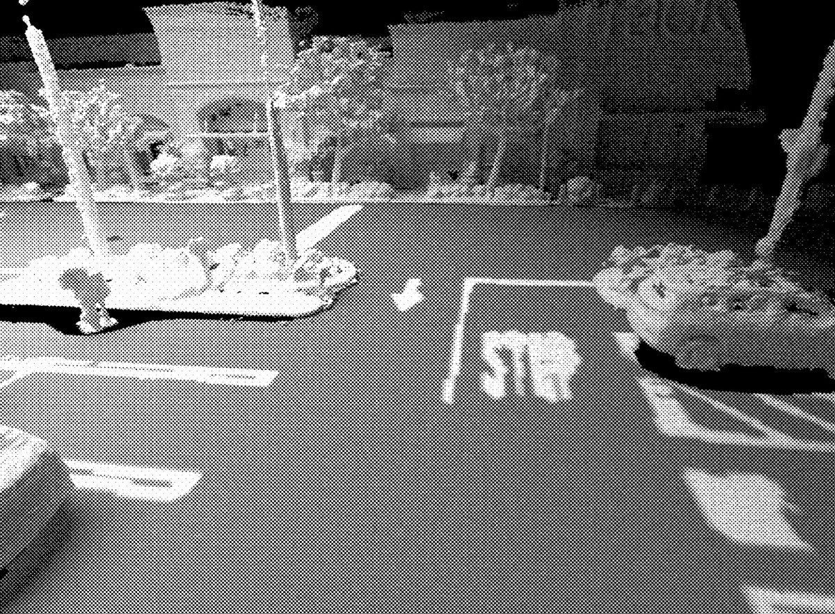 niccruzpatane's tweet photo. Tesla just published a patent that may offer a glimpse into how future FSD visualizations will look.

This new patent describes an AI-enabled high-fidelity occupancy network system that uses camera feeds to predict and visualize 3D space around a vehicle with sub-voxel accuracy, enhancing assisted parking and ground marking detection.
