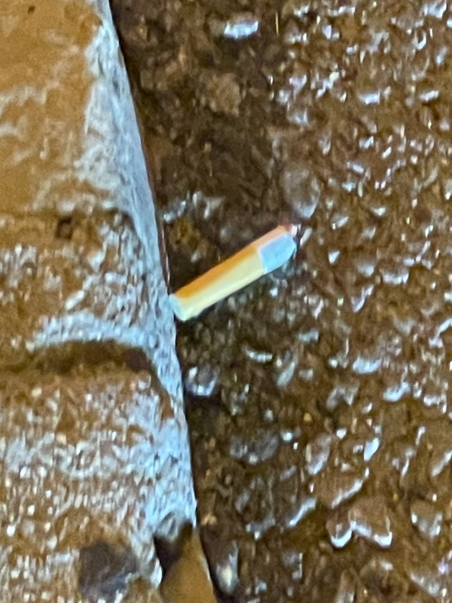 Quan el conductor del servei de neteja de #Badalona llença la seva burilla al carrer des del camió, t’adones que la brutícia no només és al carrer… A la ciutat els serveis són molt deficients! Cada cop més merda, sigui al barri que sigui! <a href="/bdncom/">Badalona Comunicació</a> <a href="/Albiol_XG/">Xavier García Albiol</a> <a href="/Totbadalona/">TOT Badalona</a>