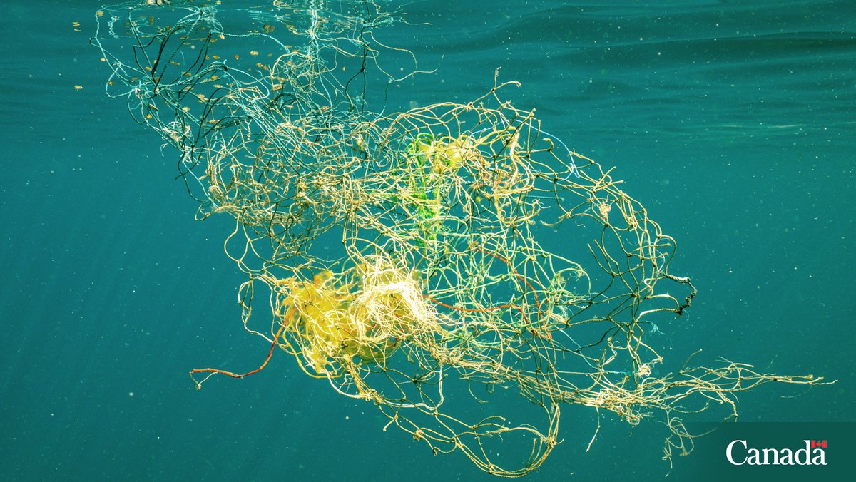 🧑‍🏫 Hey #teachers! We have a guide and activity book to help #educate younger students about the global problem of abandoned, lost or discarded fishing gear in our waterways, also known as ghost gear.   ow.ly/fXaf50WVpQi