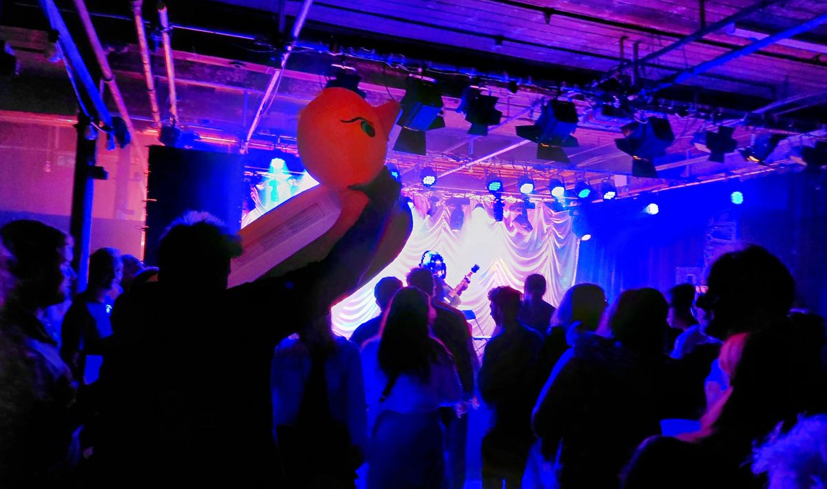 RedGuitars's tweet photo. Most excellent Undead Guitars night out to see delta blues guitarist Bob Log iii at The Old Woollen. Who wouldn't want to share a bottle of prosecco - drunk from a huge inflatable rubber duck (that's it in the pic). Absolutely brill!
#boblog https://t.co/it3k182jtb