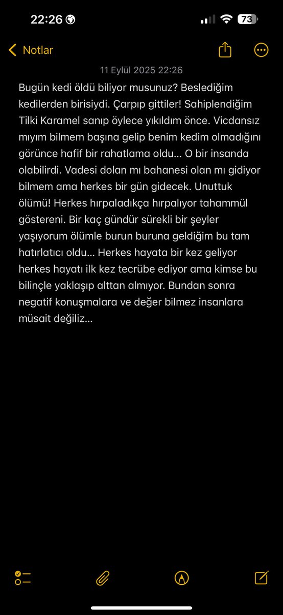 K. A 🐝 (Müphem) (@kbraar18) on Twitter photo 