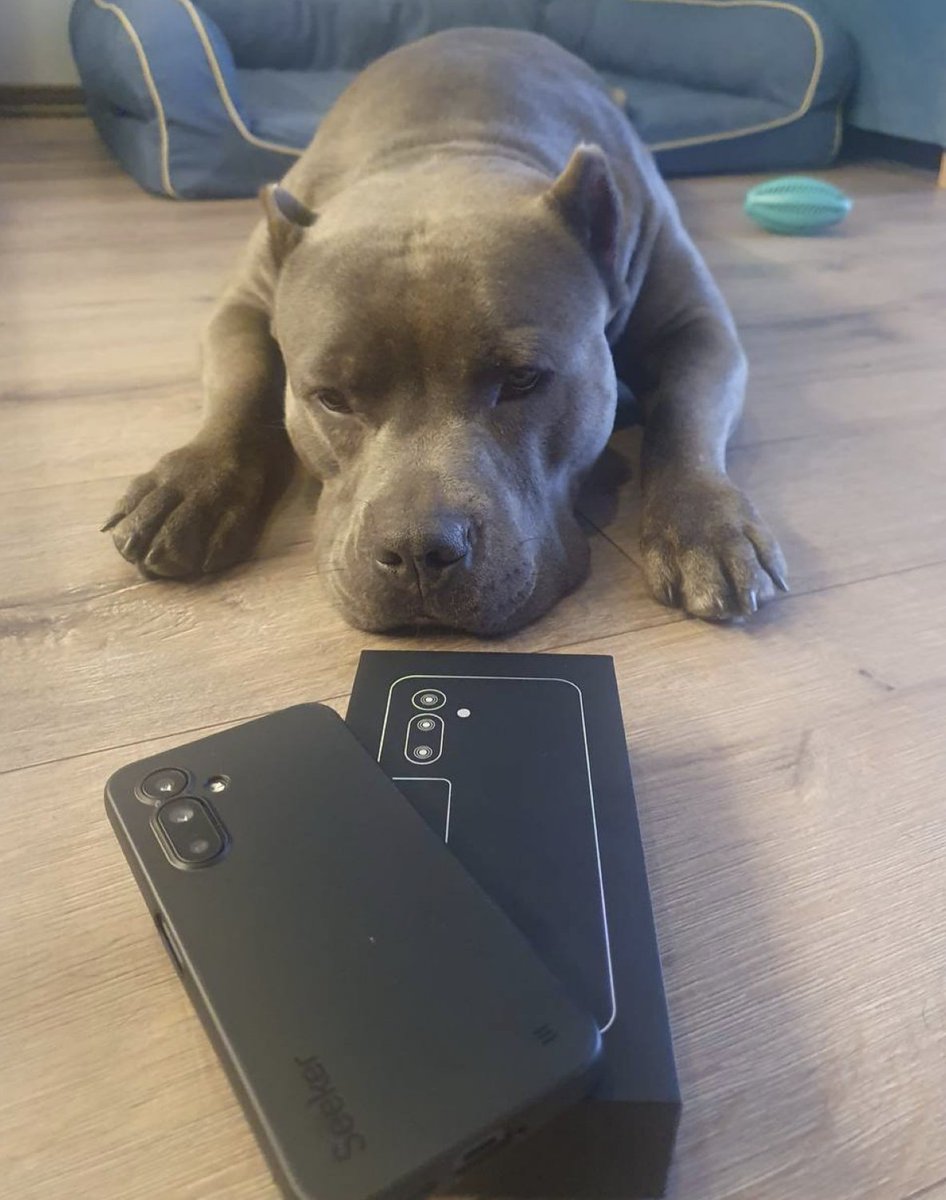 Here We Go 😉 ( I’m sure you already know the answer: which is more impressive -  Seeker or  iPhone 17 )
<a href="/solanamobile/">Seeker | Solana Mobile</a> 🙏
<a href="/solana/">Solana</a> 🆒